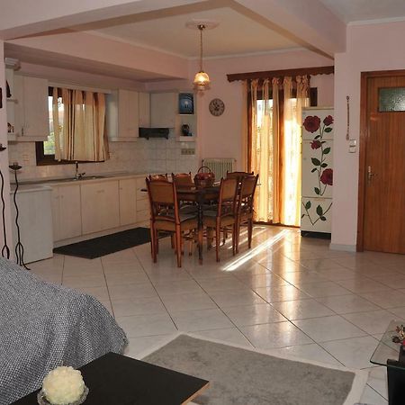 Eagle'S Family Apartment Kalampaka Luaran gambar